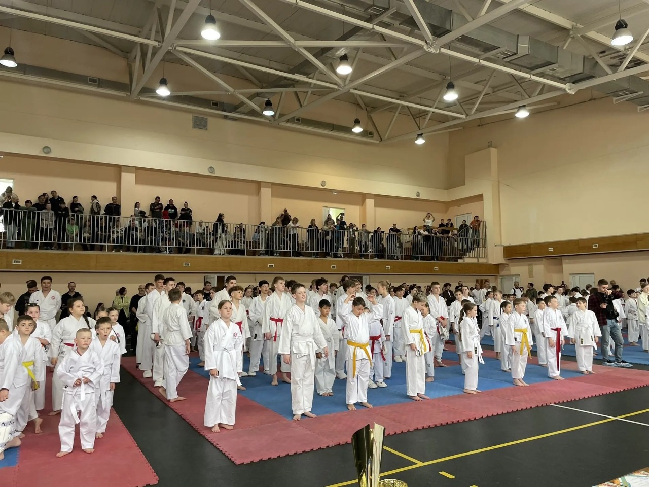 Каратэ.